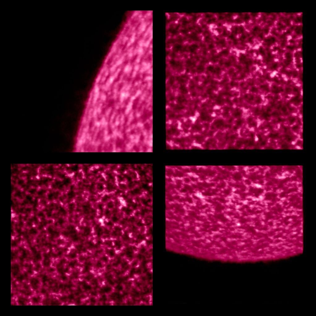 Imágenes solares producidas por el generador de imágenes de alta resolución, el telescopio HRILYA, que forma parte del instrumento Extreme Ultraviolet Imager (EUI). 