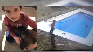 Video: un nene de cinco años salvó a su mascota de morir de hipotermia
