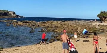 Video: un tiburón blanco de 4 metros atacó y se devoró a un nadador ante decenas de testigos