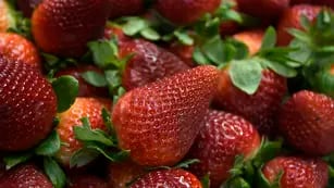 Aumento del precio en frutas y verduras