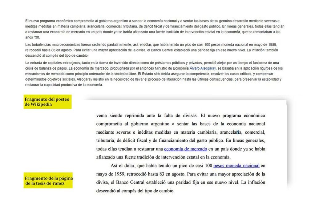 La Tesis de Yañez y las publicaciones en Wikipedia. Gentileza /La Nación.
