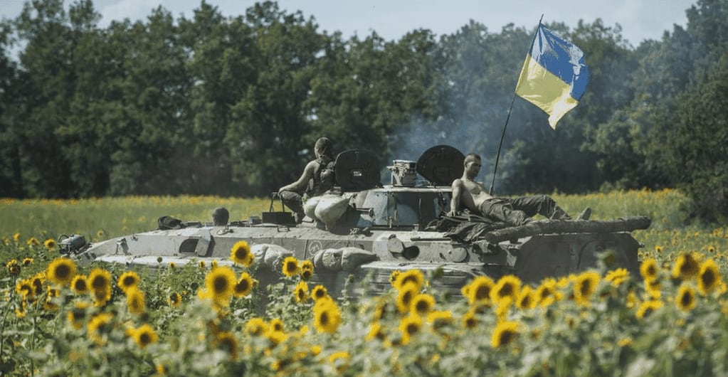Estas flores se han convertido en el amuleto de los soldados ucranianos que se encuentran en la zona de riesgo de la invasión Rusia.
