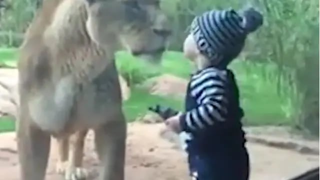 El nene le da la bienvenida al zoo.
