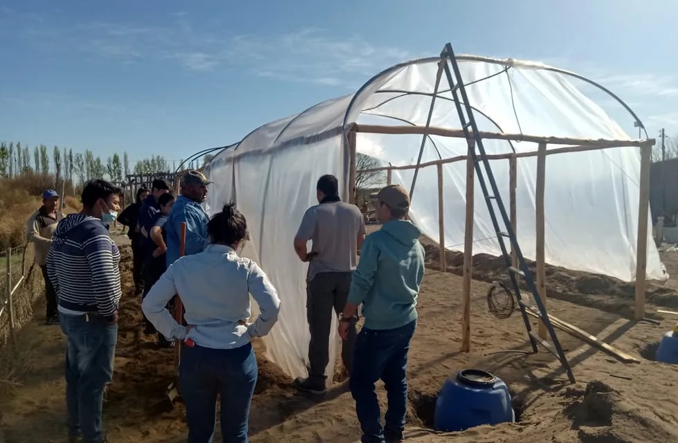Alumnos de una escuela de La Llave (San Rafael) desarrollan un proyecto de hidroponia, con el municipio y el INTA, para cultivar hortalizas ante la crisis hídrica