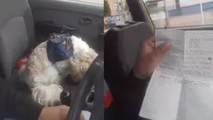 Dejaron a un perro abandonado en un taxi con instrucciones de cómo cuidarlo