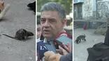 Una rata causó pánico en plena conferencia de Jorge Macri y el video se hizo viral