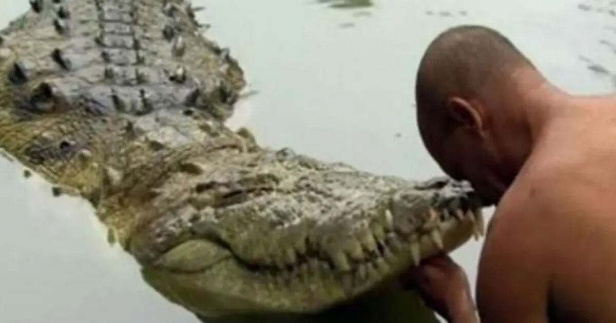 Babiya, la historia de cocodrilo que se volvió vegetariano luego de matar a  un hombre