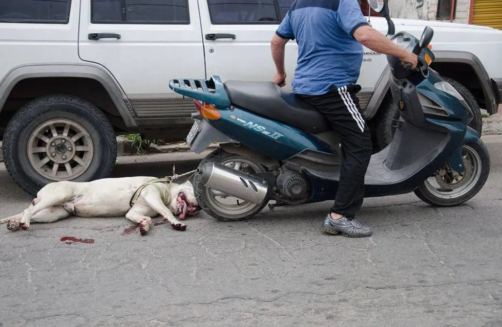 Un hombre fue “escrachado” mientras arrastraba a su perro desde una moto