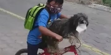 Video. Un niño le colocó un tapabocas a su perro para salir a comprar
