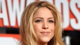 Shakira fue captada junto a Hamilton