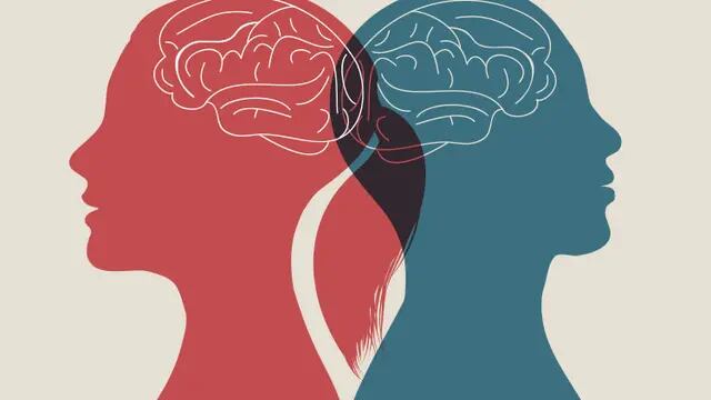 Los cerebros de hombres y mujeres se organizan de forma diferente, según un estudio con inteligencia artificial