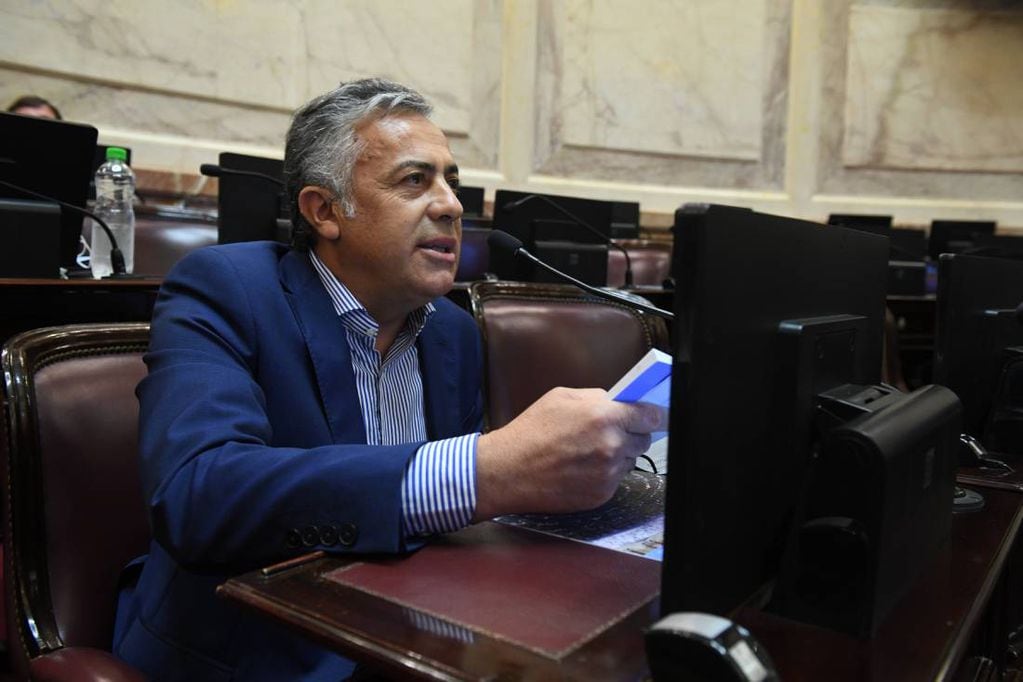 Cornejo encabezó el amparo judicial contra la validez de la sesión del Senado (Foto: Comunicación Senado)