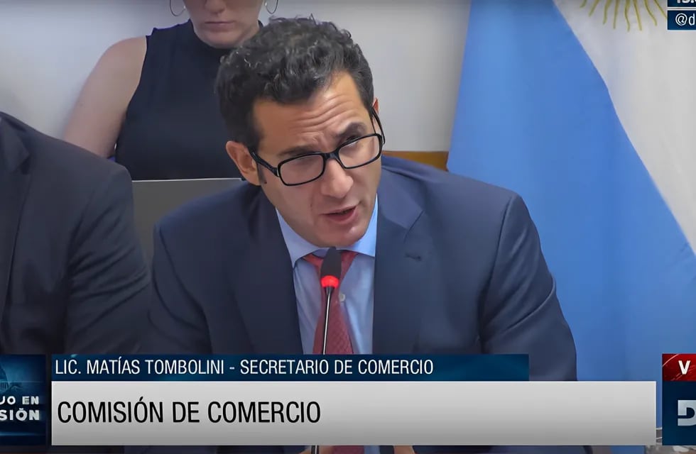 El secretario de Comercio, Matías Tombolini, expuso en Diputados. Foto: Captura de video