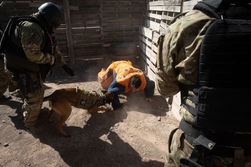 los canes son entrenados rigurosamente, desde hace más de un año, en la Base Cóndor. Foto: Ignacio Blanco / Los Andes
