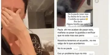 Un perro se metió en la casa que Paula Chaves alquila en Córdoba