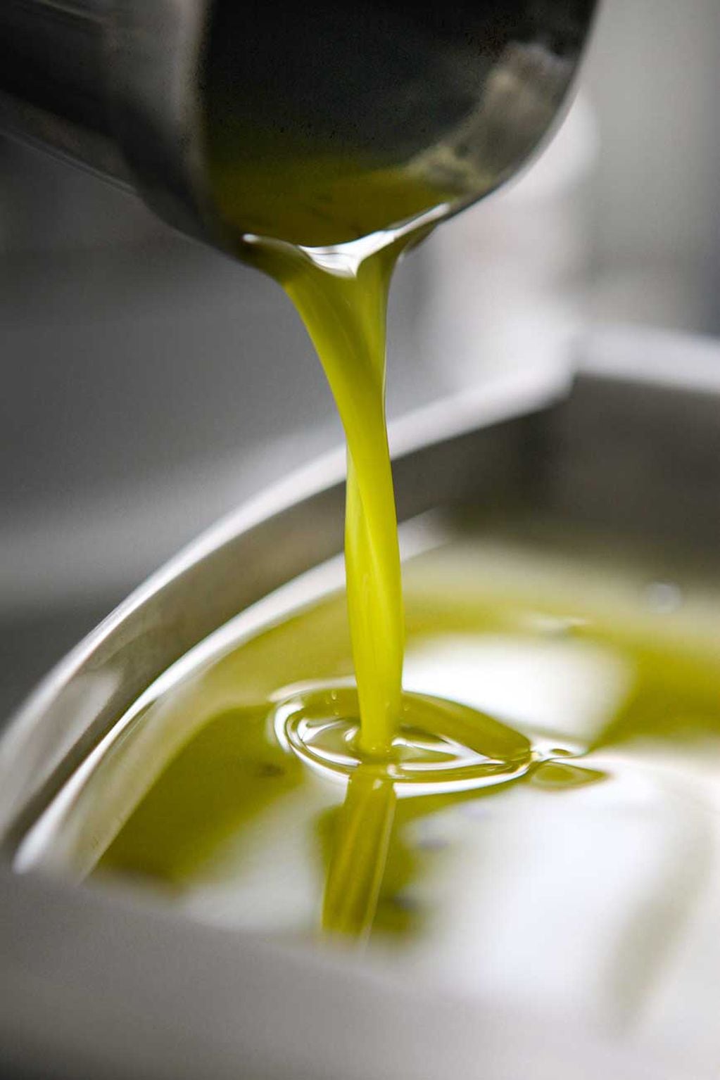 Aceite de oliva: cómo reconocer un producto de buena calidad.