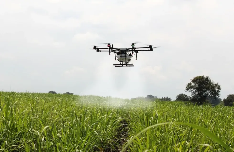 El uso drones, apoyados en plataformas con inteligencia artificial, permiten aplicaciones más eficientes para mejorar la productividad de los cultivos. (Vía País)