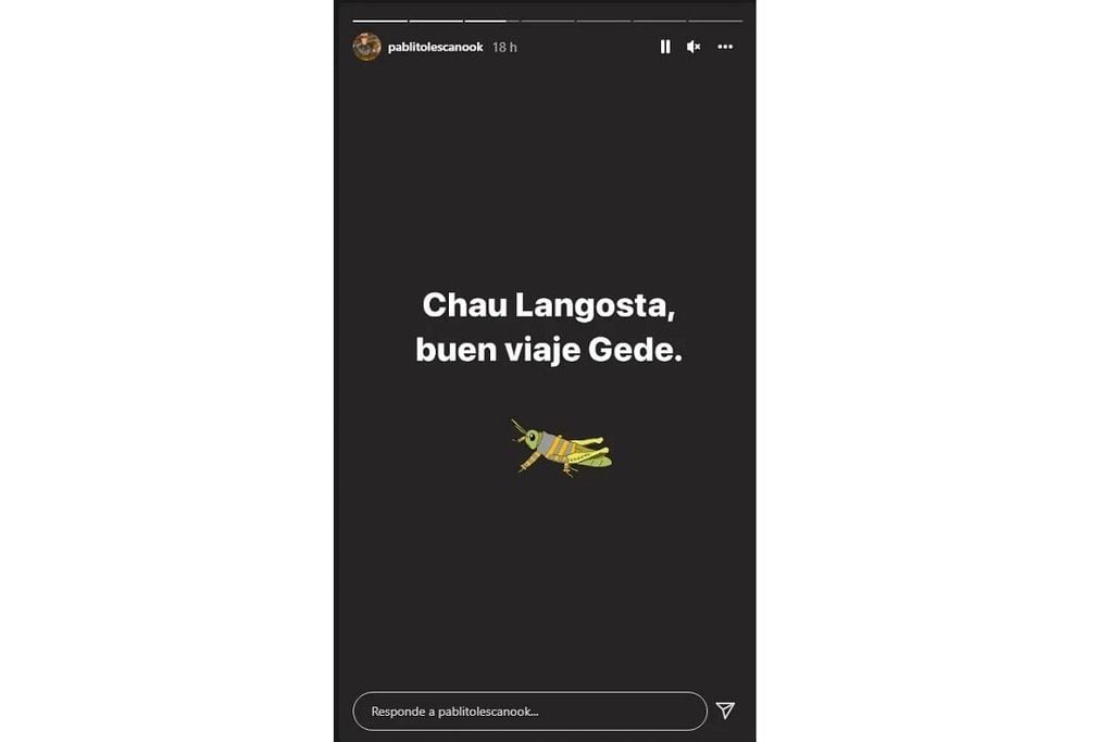 El contundente mensaje que Pablo Lescano le habría dirigido a su hermana. (Instagram)
