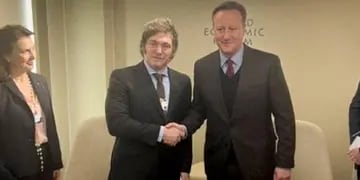 Javier Milei y David Cameron