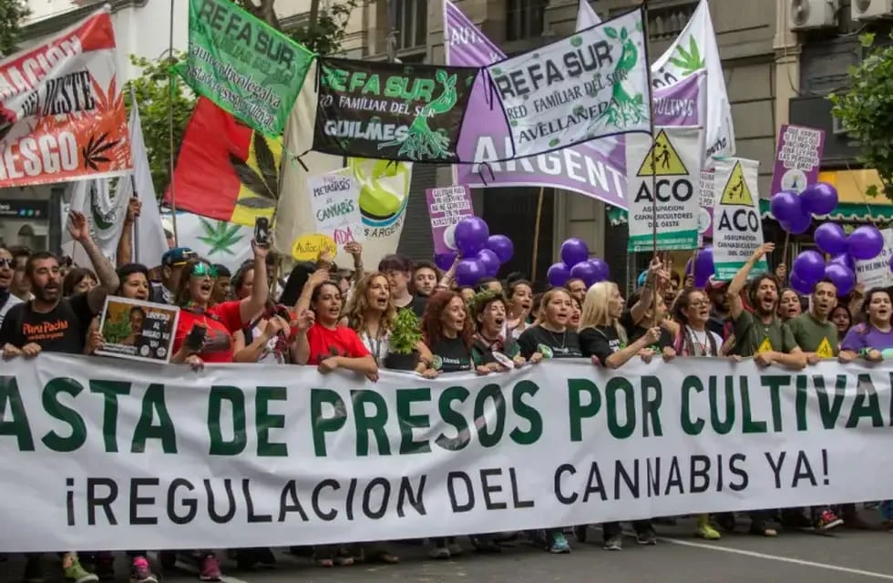Distintas organizaciones marcharon por la legalización de la marihuana y la liberación de los presos por su cultivo.
