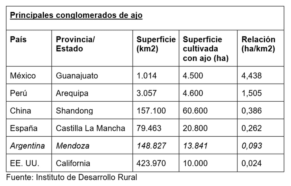 Si se analiza la relación entre hectáreas de ajo y cantidad de kilómetros cuadrados, Mendoza ocupa el quinto lugar mundial.