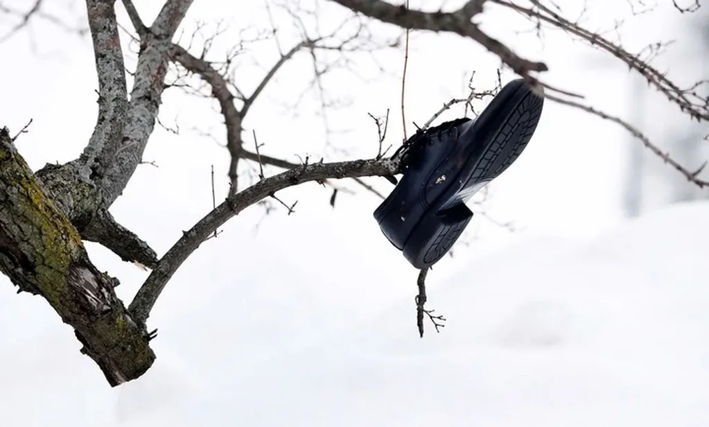 Un zapato cuelga de un árbol derribado por el viento en Buffalo, Nueva York, el martes 27 de diciembre de 2022. Foto: AP