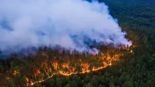 Incendios forestales en Siberia
