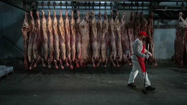 Prohibición de exportar carne por 30 días 