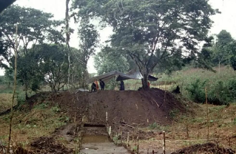 Amazonas: encontraron evidencia de 6.000 montículos que se cree que son la base de hogares antiguos (Stephen Rostain)