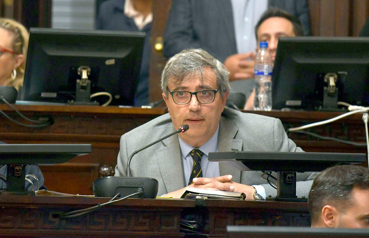 El senador Armando Magistretti del Partido Demócrata será parte de la Bicameral de Seguridad. Foto: Orlando Pelichotti