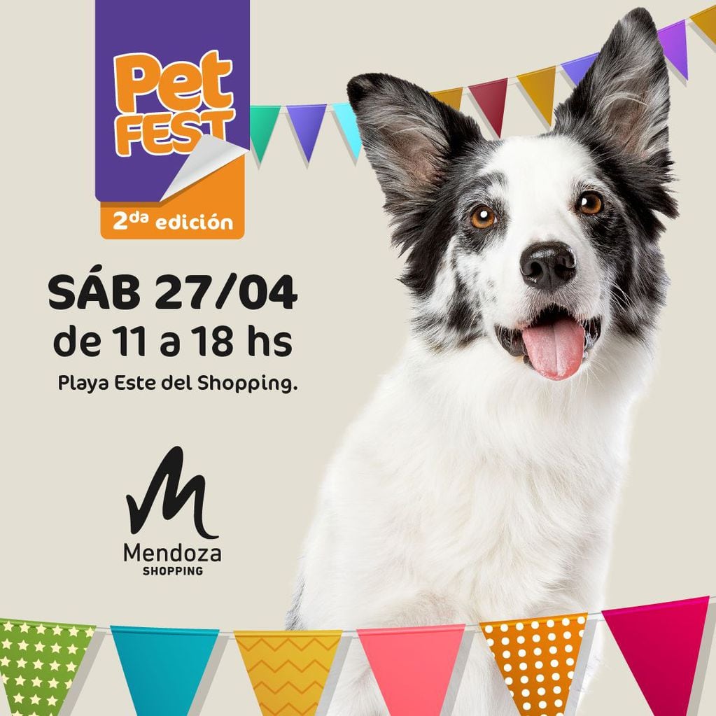 Pet Fest 2024