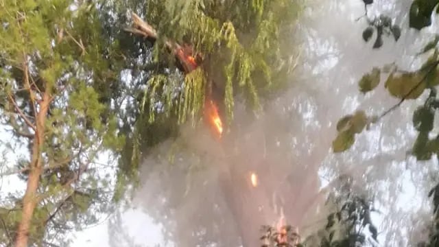Incendio en San Carlos