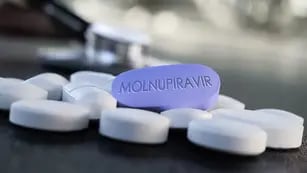 Molnupiravir antiviral oral