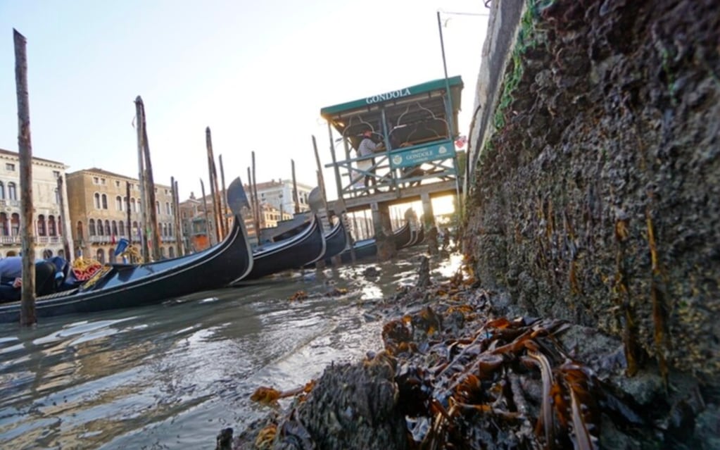 Venecia está sin agua y es un fenómeno que se conoce como “acqua bassa”. La ciudad ya vivía un momento crítico por la falta de turismo por la pandemia.