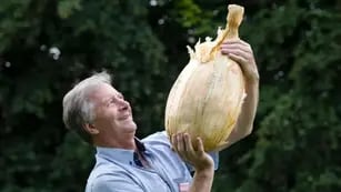 Cebolla récord: un agricultor cosechó una de casi 9 kilos y marcó un nuevo registro Guinness
