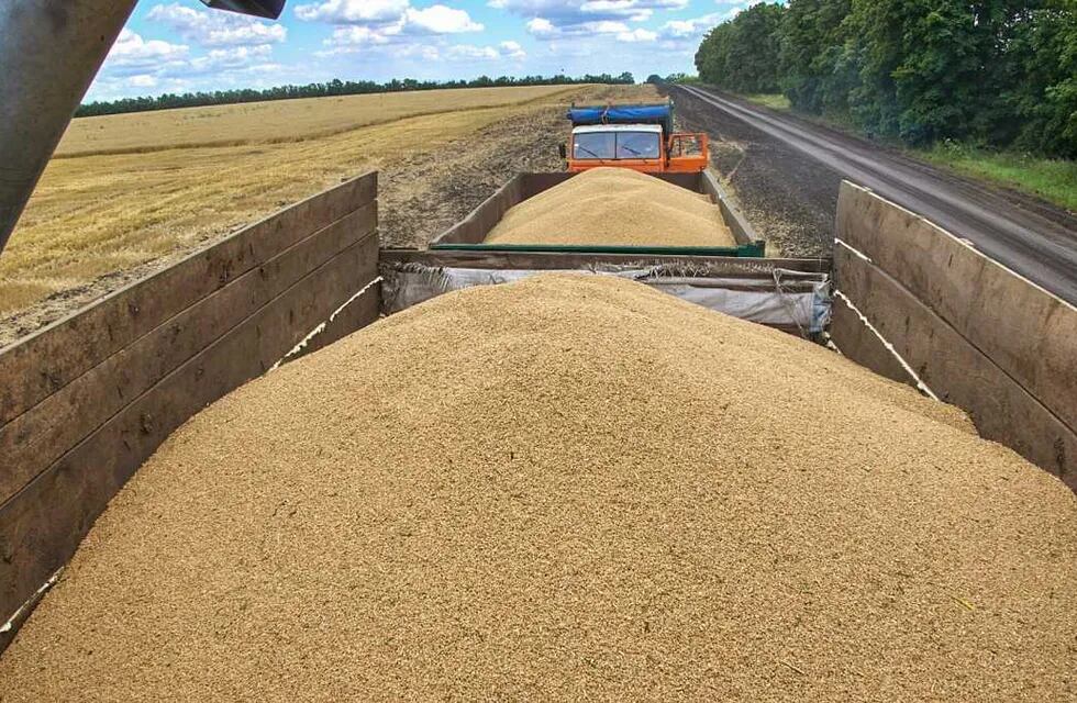 Exportación de granos