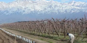 Mendoza es un desierto donde solo se puede ocupar el 4% por las limitaciones que genera la falta de agua.  - Claudio Gutierrez / Los Andes