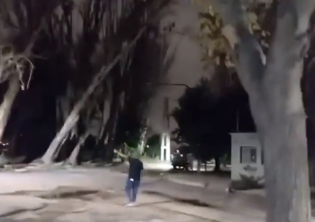 Árbol caído sobre operario en barrio Ujemvi (Las Heras). Foto: Captura Video