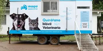 Móvil veterinario Maipú