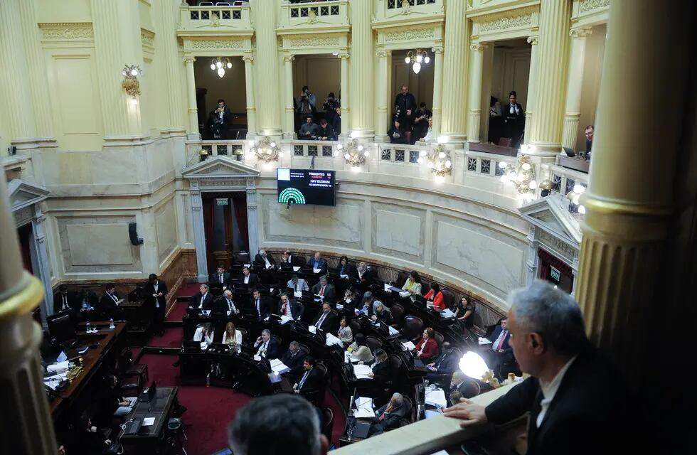 El Senado modificó el proyecto de ley de Alquileres y vuelve a Diputados. Foto Federico Lopez Claro