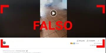 Circula en redes un video de una persona desalojando a un hombre en situación de calle con un chorro de agua a presión pero no sucedió aquí.