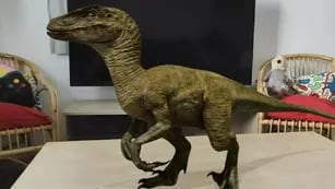 Cómo activar los dinosaurios 3D en Google