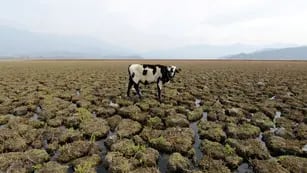 Sequía histórica en Chile