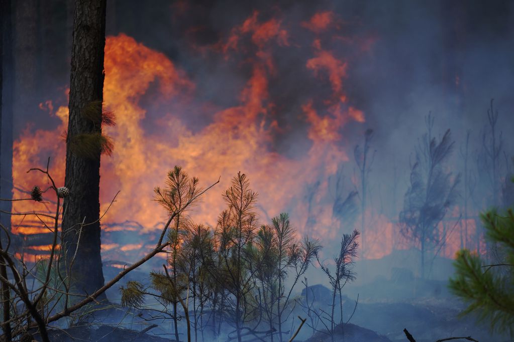 Incendios en la provincia de Corrientes
Bomberos y lugareños combaten el fuego en Corrientes FOTO CLARIN