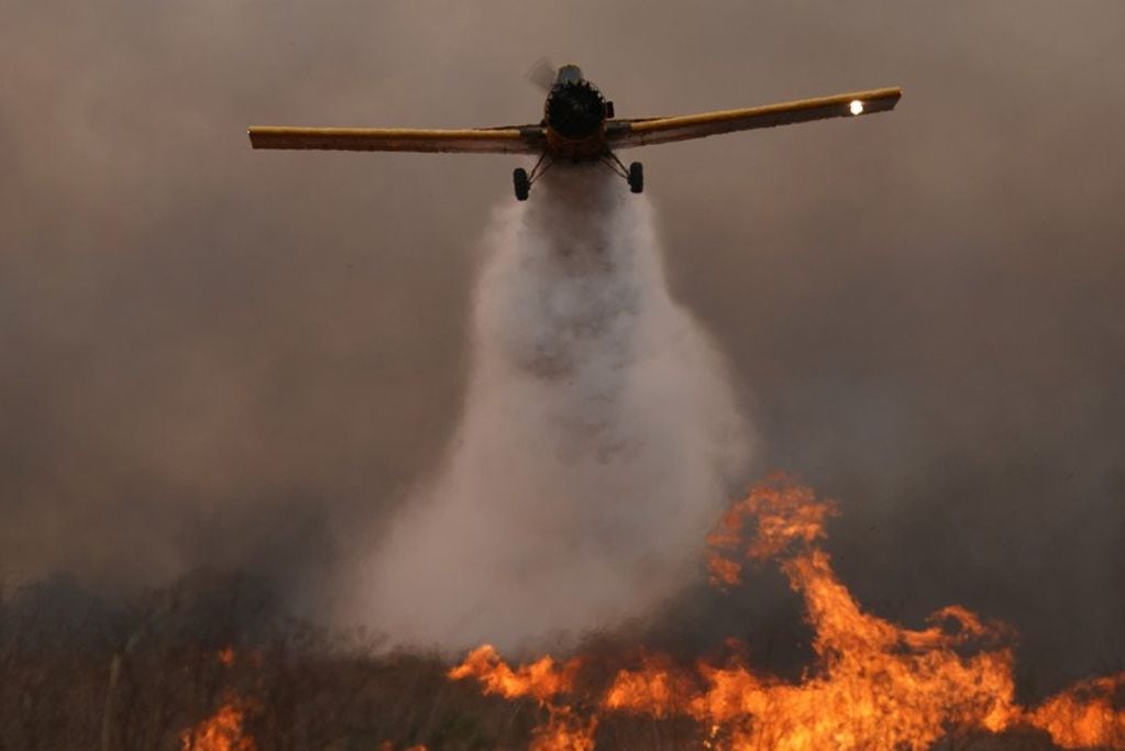 Corrientes. El fuego ya arrasó con más de 800.000 hectáreas, el 10% de la superficie provincial. (Foto / Juano Tessone)