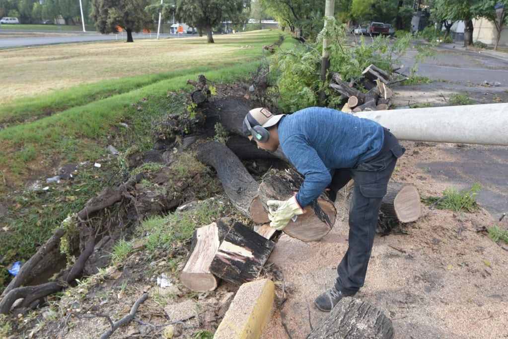 Techos derrumbados, árboles caídos y más de 130 intervenciones: las consecuencias de la tormenta. Foto: Orlando Pelichotti / Los Andes.