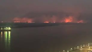 Incendios en el delta
