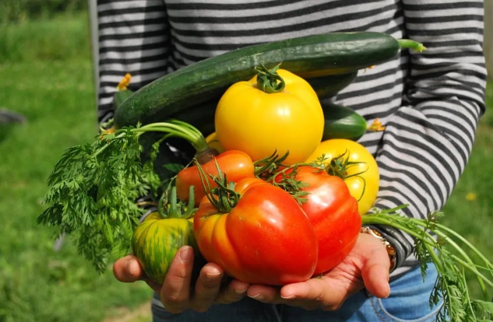 Producir de manera agroecológica impulsa la sustentabilidad y la soberanía alimentaria. Foto tomada de Pixabay