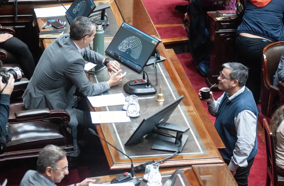 El gobierno busca salvar la "ley bases" en la Cámara de Diputados. Foto: Federico Lopez Claro