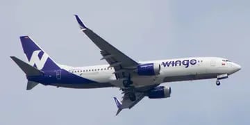 Wingo, la aerolínea low cost de origen colombiano que se instalará en Argentina